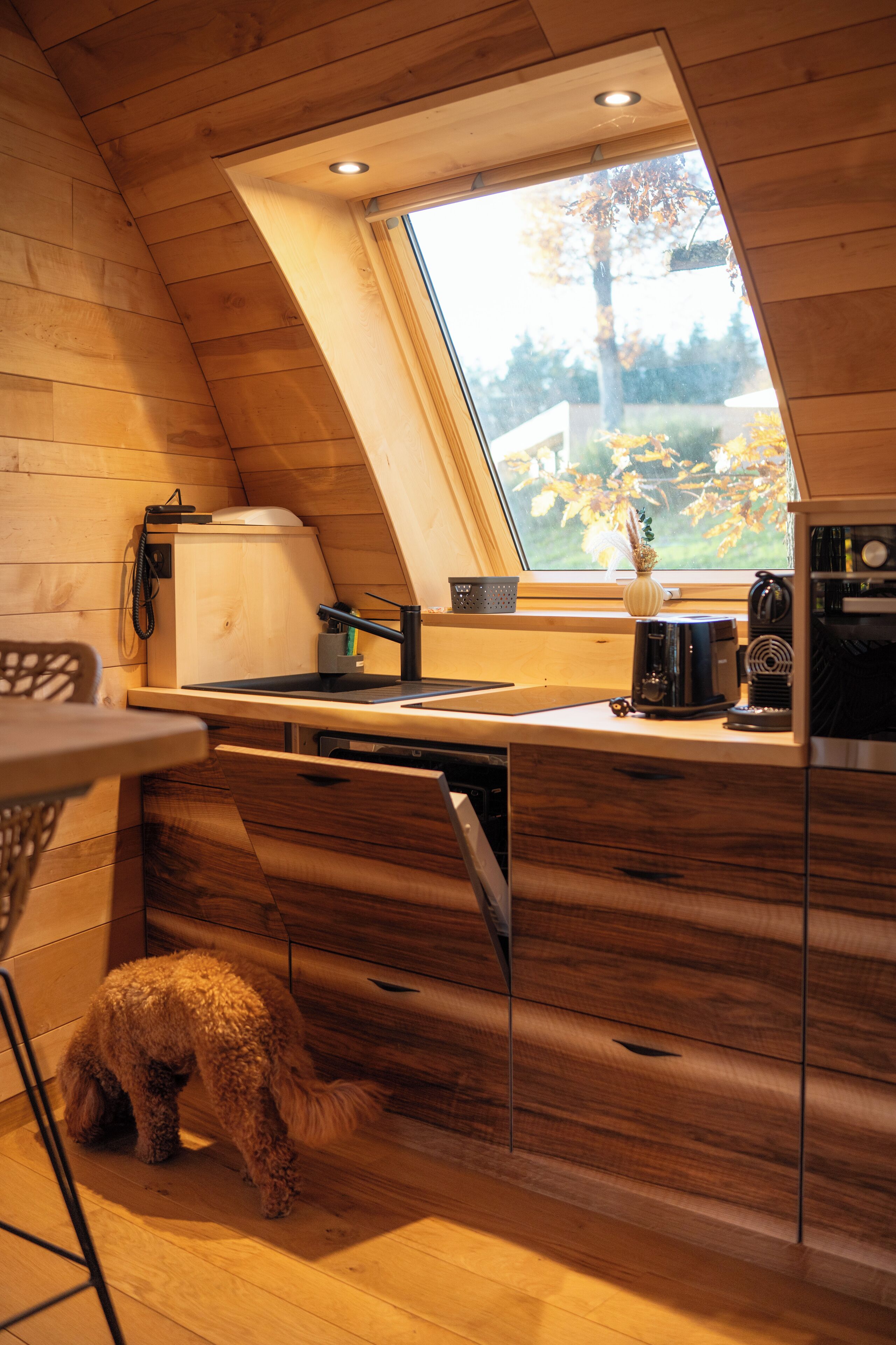 A kitchen with wooden cabinetry, a window with a view of trees, and a small dog on the floor.