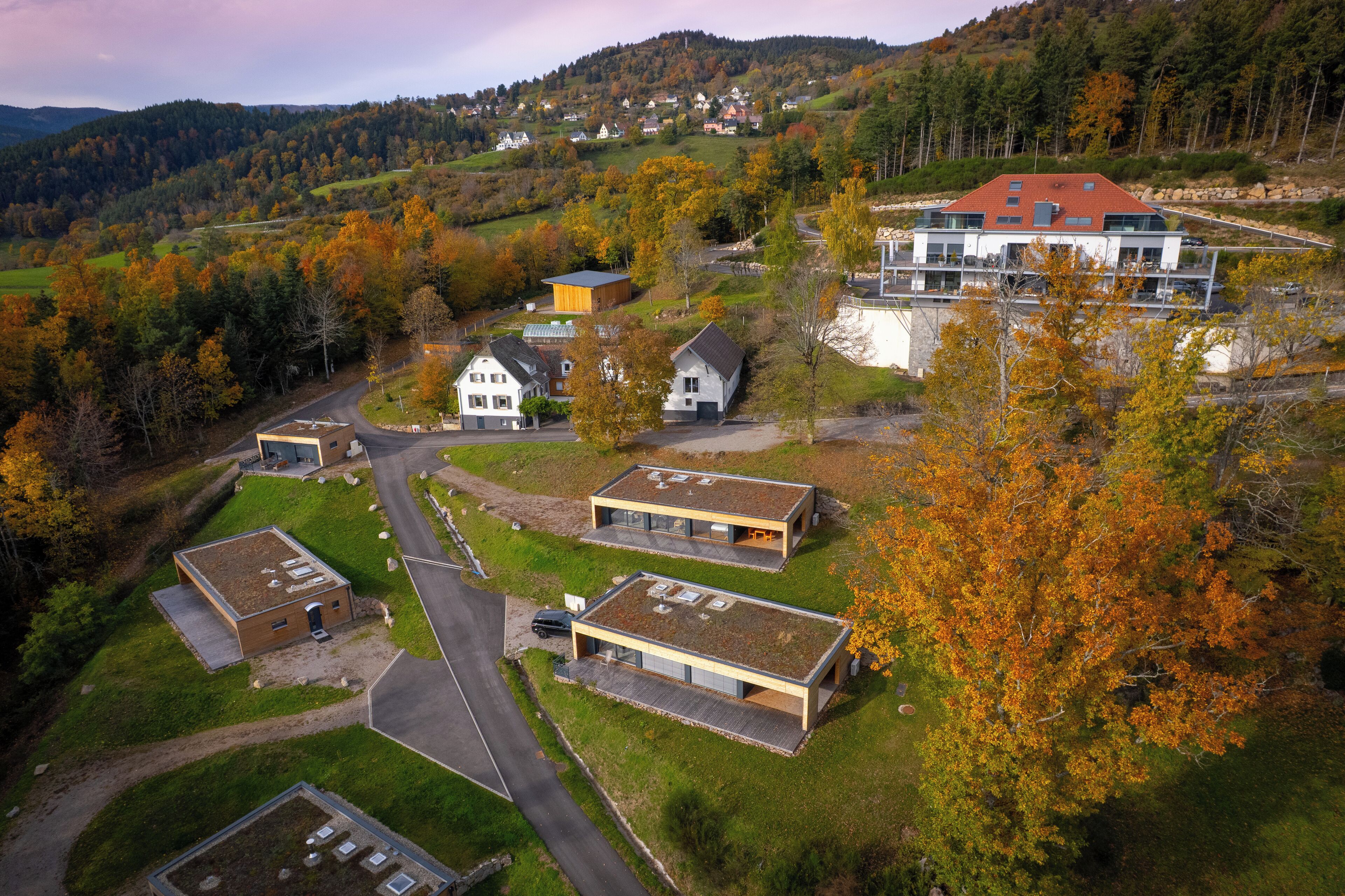 Eksteriør