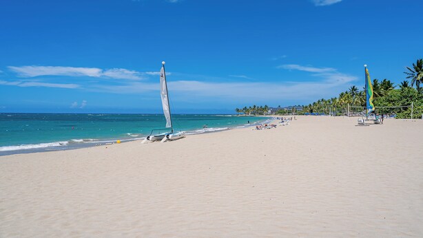 Une plage avec un voilier, des palmiers et un ciel bleu azur.