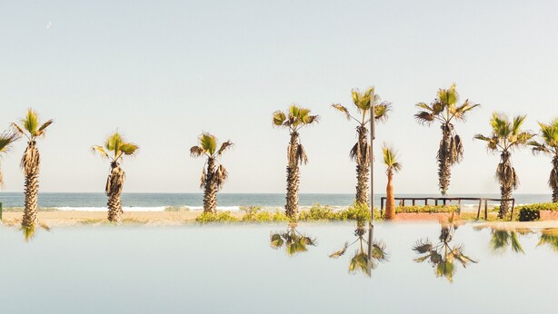 A serene beach scene with palm trees and a reflective pool. - Hotel Canto del Mar (La Serena)