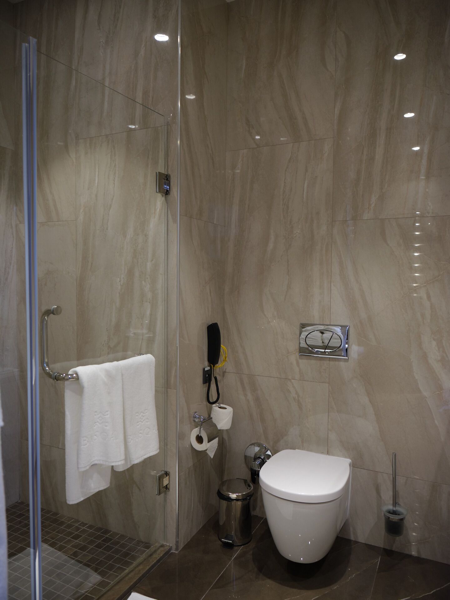 A modern bathroom with a glass shower enclosure, a toilet, a trash bin, and a towel rack.