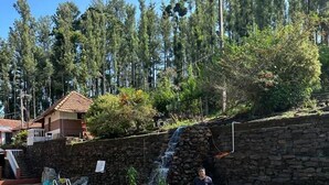 Pool - Nature Nirvana Chikmagalur Farmhouse (Chikkamagaluru)