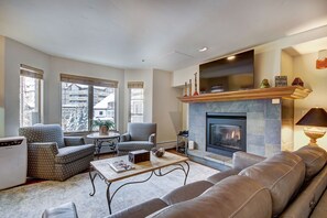 TV, fireplace, computer monitors, printers