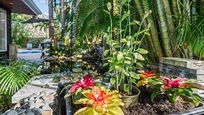 Un giardino tropicale con diverse piante e un vialetto in pietra.