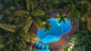 Una vista aerea di una piscina circondata da palme, con lettini e un vialetto in mattoni.