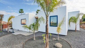 A modern building with white walls and large windows, surrounded by small palm trees and gravel.
