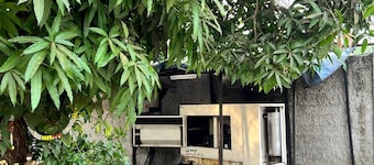 yogi homestay