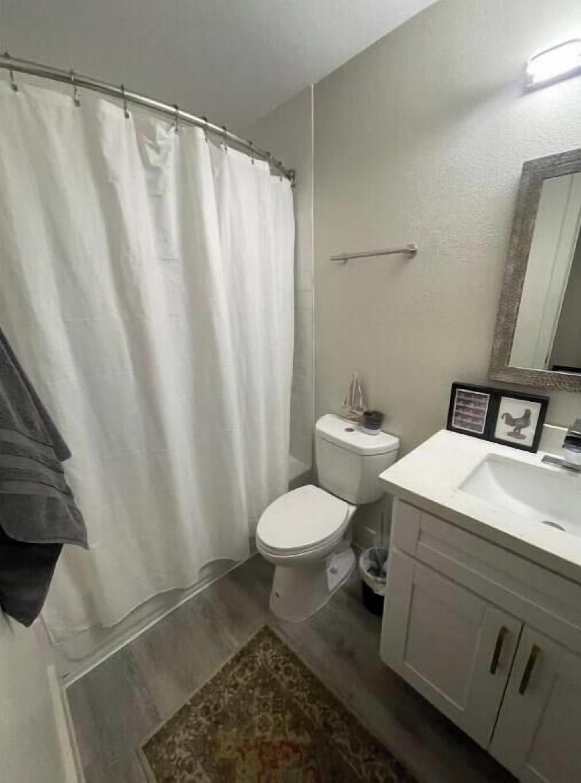 Hair dryer, soap