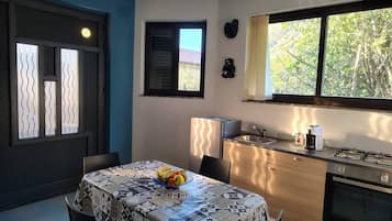 Fridge, oven, stovetop, electric kettle
