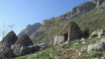 Esterni