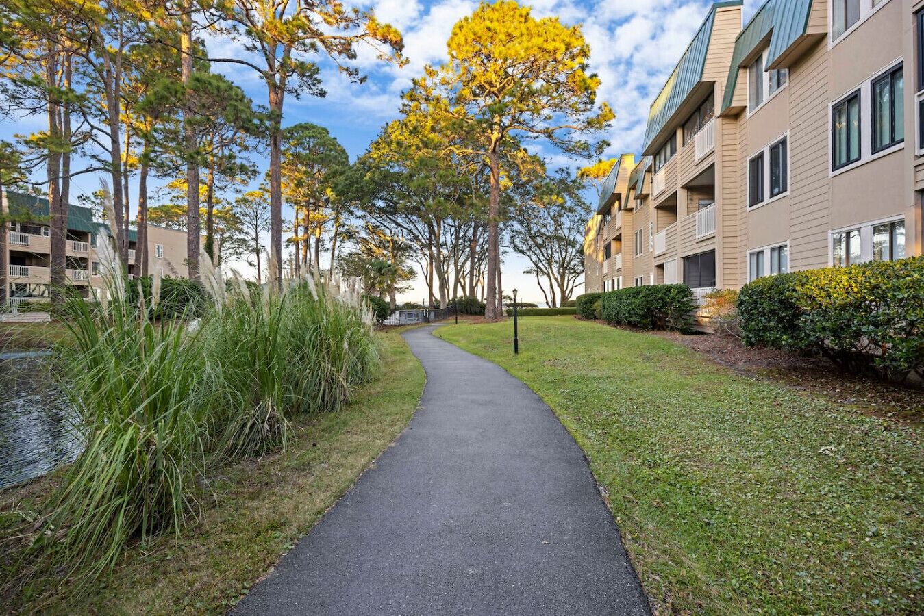 A pathway flanked by tall trees with yellow leaves, leading to a building with multiple balconies.