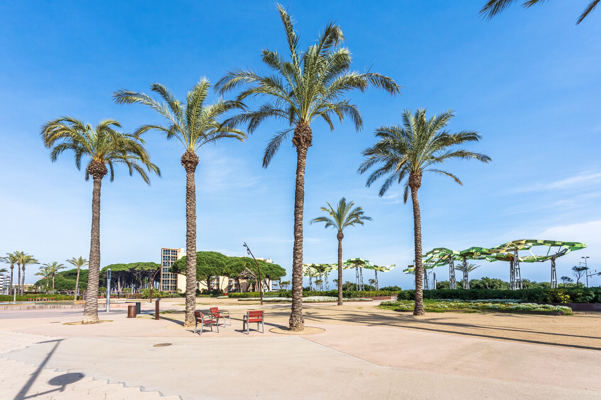 A public square with palm trees, benches, and a clear blue sky.