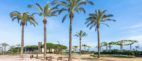 A public square with palm trees, benches, and a clear blue sky.