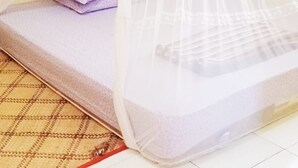 Desk, laptop workspace - Tado Homestay (Nampar Macing)