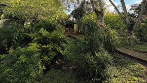 A lush garden with a gazebo, surrounded by dense foliage and trees. - CASA VILLA ANACAHUITA ideal to be in contact with nature. (Limonal, Jarabacoa)