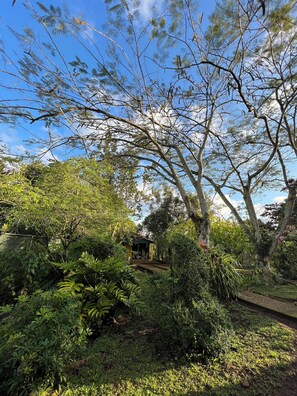 Property grounds - CASA VILLA ANACAHUITA ideal to be in contact with nature. (Limonal, Jarabacoa)