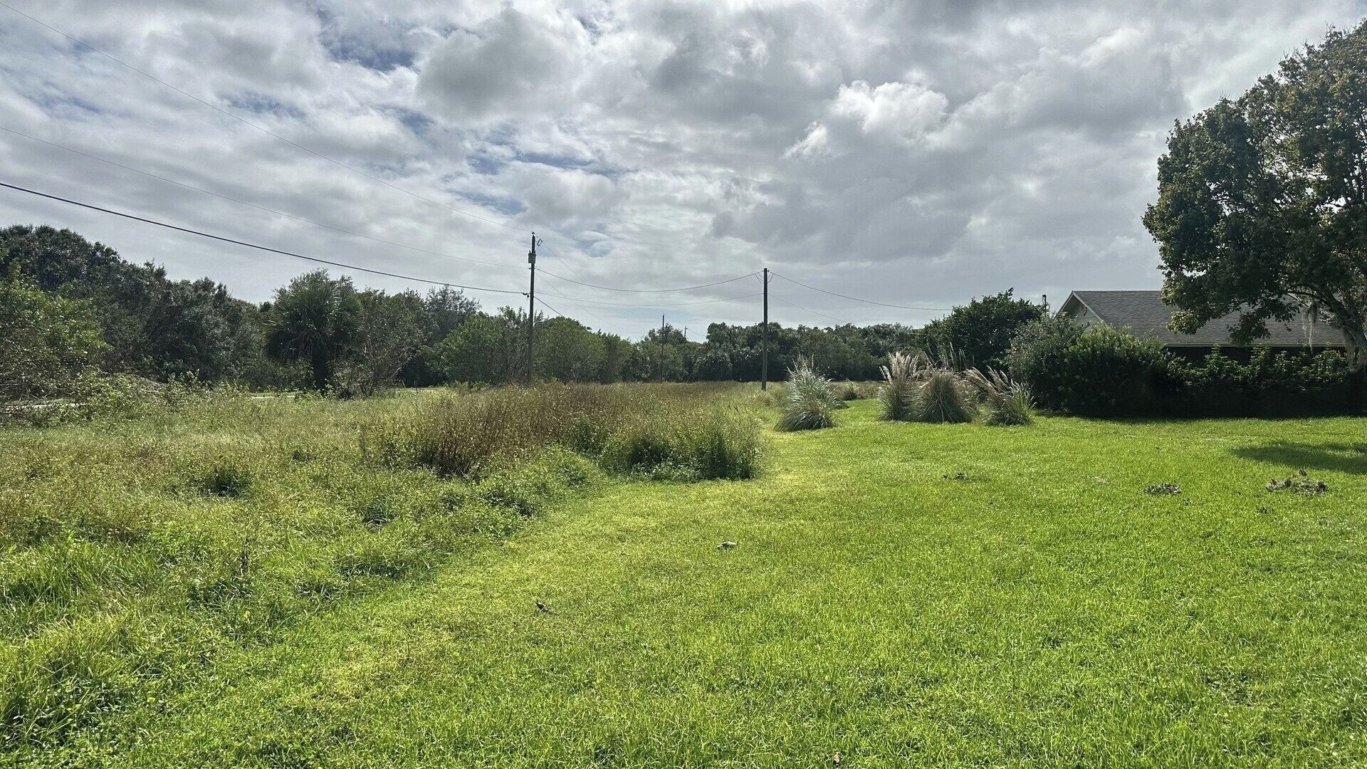 A grassy field with a house in the background and power lines overhead.