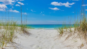 A sandy beach with tall grass in the foreground and a clear blue ocean in the background.
