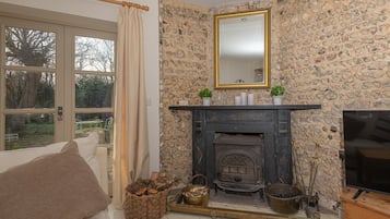 Smart TV, fireplace, books