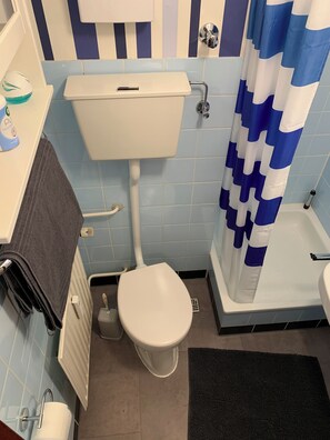 Regadera, jabón, papel de baño