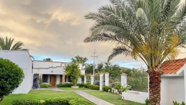 A residential area with a white house, a paved driveway, and a palm tree.