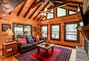 TV, fireplace, DVD player, books