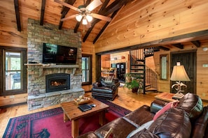 TV, fireplace, DVD player, books