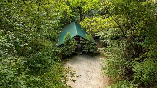 A cabin surrounded by dense forest with a gravel path leading to it.