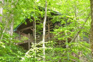 Exterior - Cherokee Lodge-Pet Friendly, Luxury Log Cabin Rental, Hot Tub, 2 Fireplaces, Fishing- Nantahala NC. (Topton)