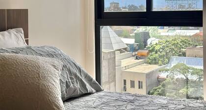 Luxurious studio apartment
