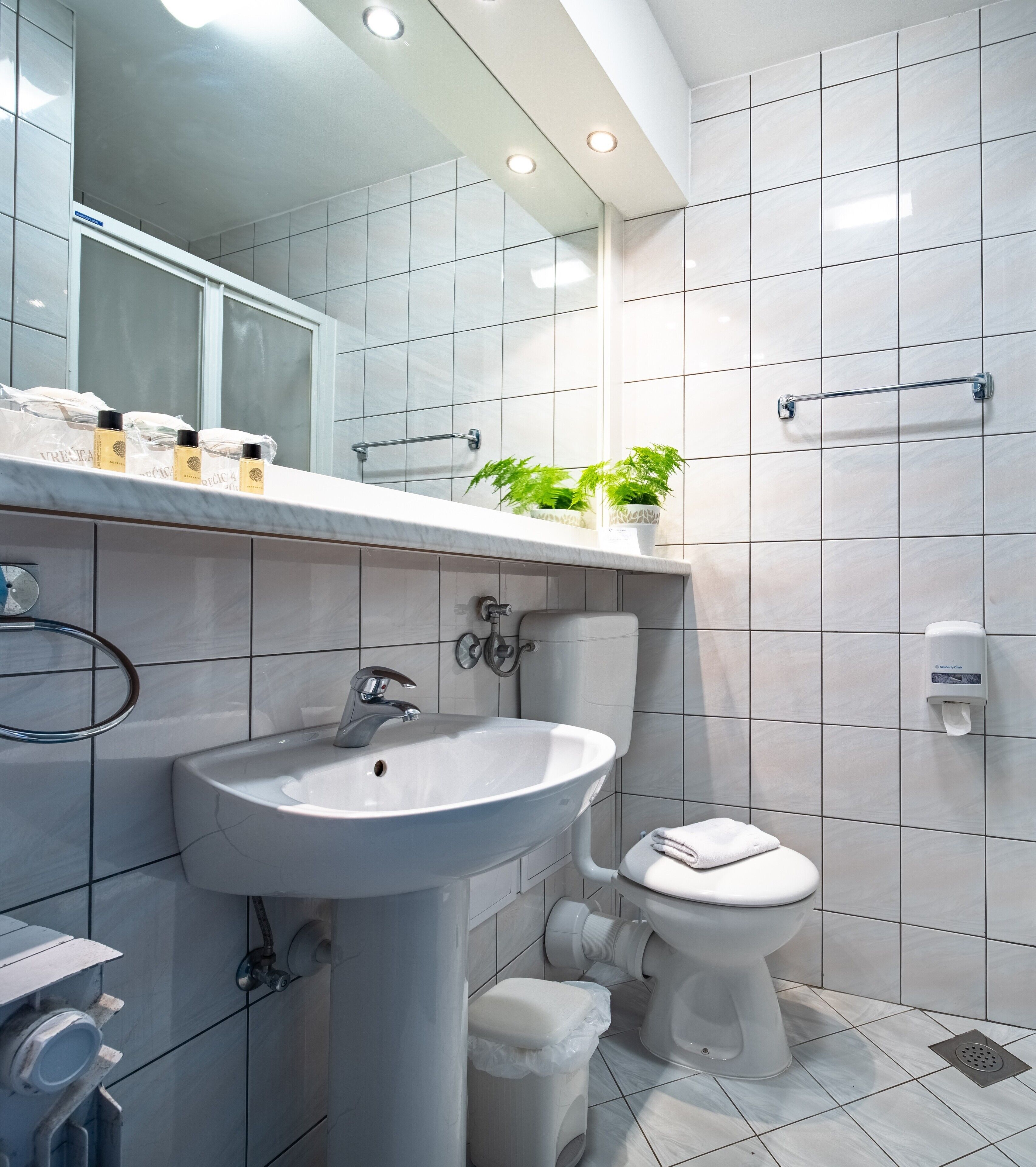 A modern bathroom with a white sink, toilet, and shower. There are toiletries on the countertop and a plant on the shelf.