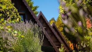 Un edificio rústico con techo inclinado, rodeado de abundante vegetación y plantas de lavanda.