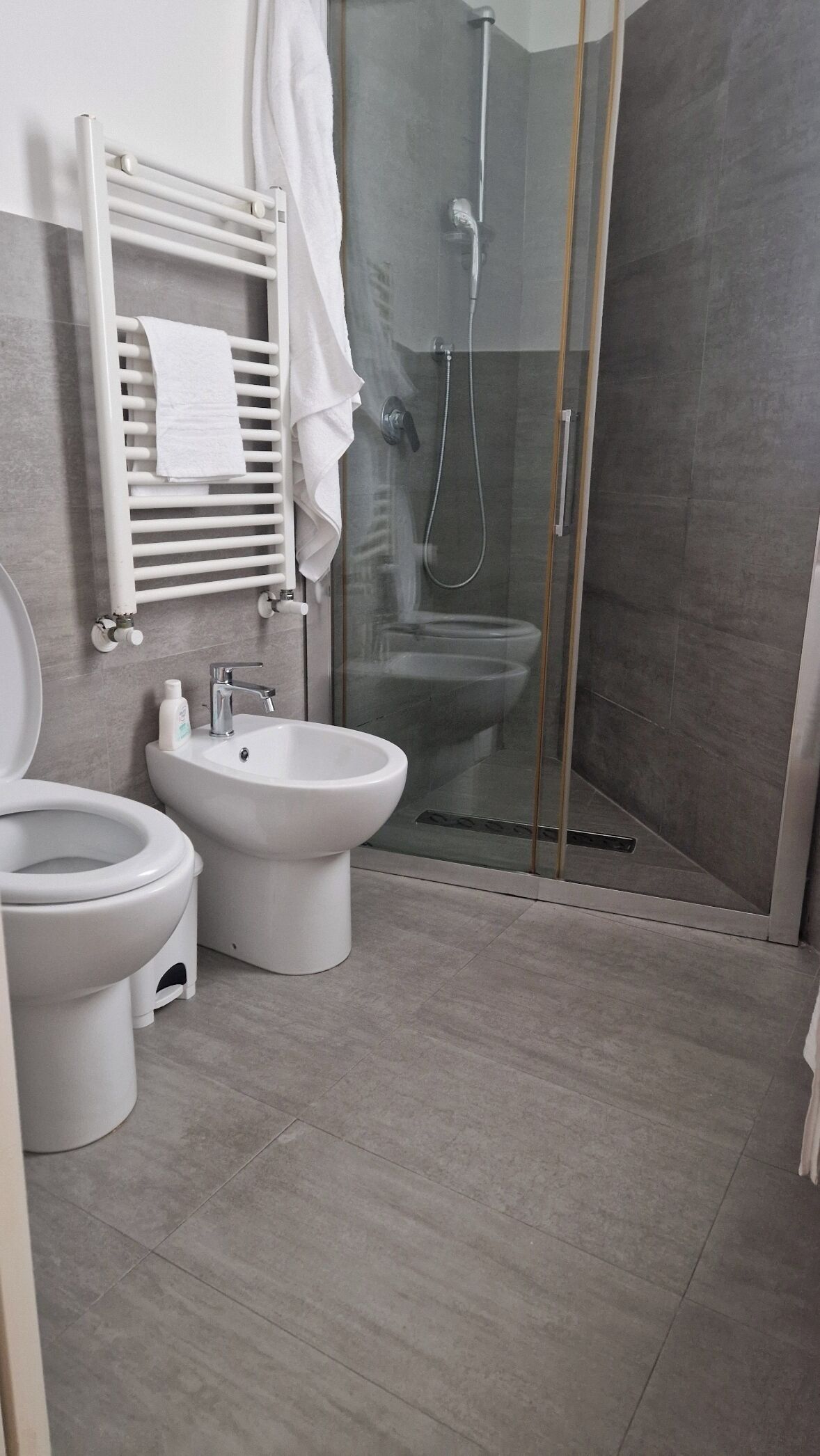 Dusche, Haartrockner, Bidet, Handtücher