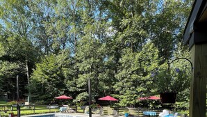 Patio trasero con piscina, rodeado de árboles y una valla de madera.