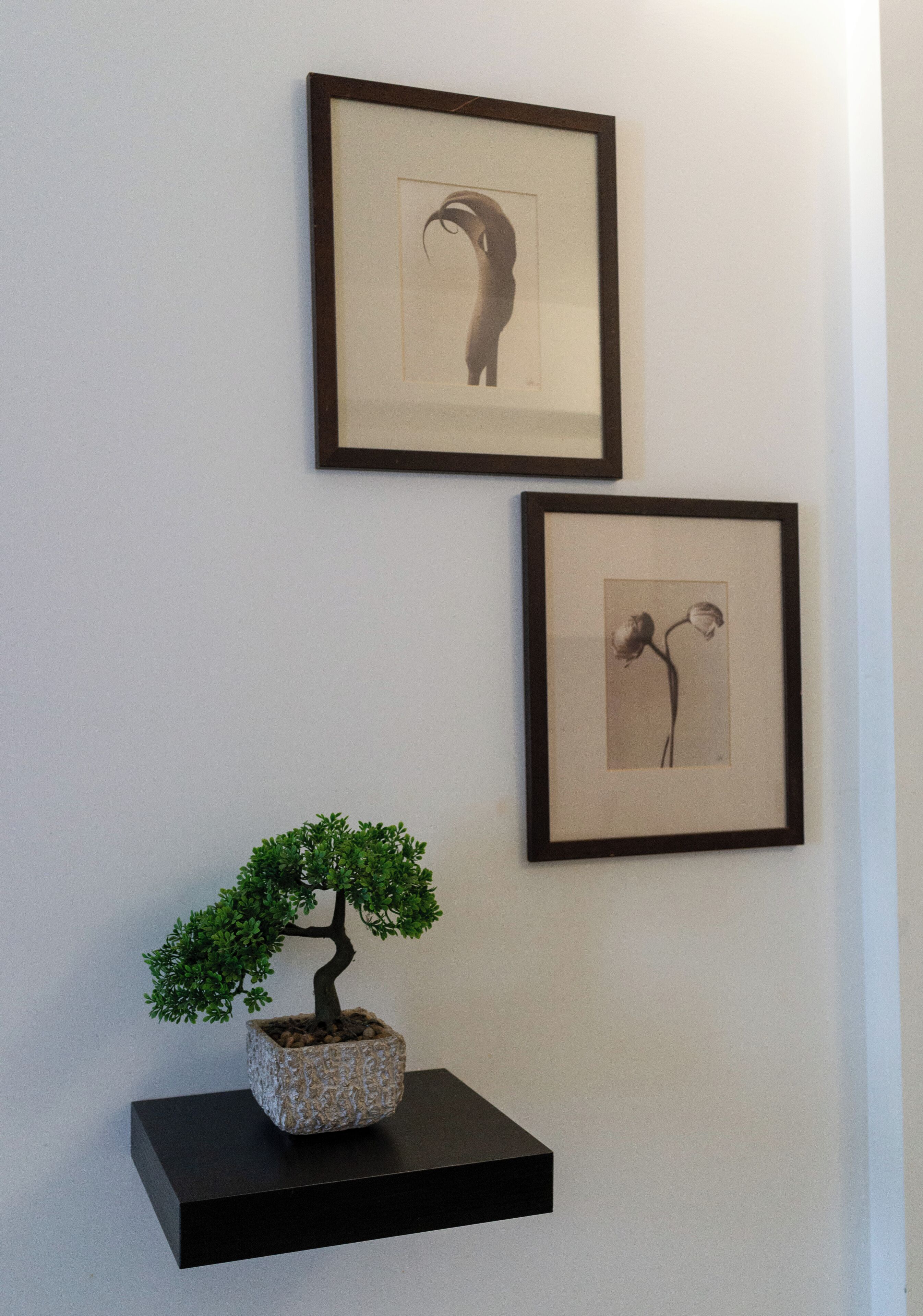 Een lijstwerk aan een muur, een bonsaiboom op een zwarte plank, en een lijst met een bloemenfoto.