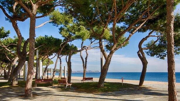 A paved promenade with benches and trees, overlooking a beach and the sea.