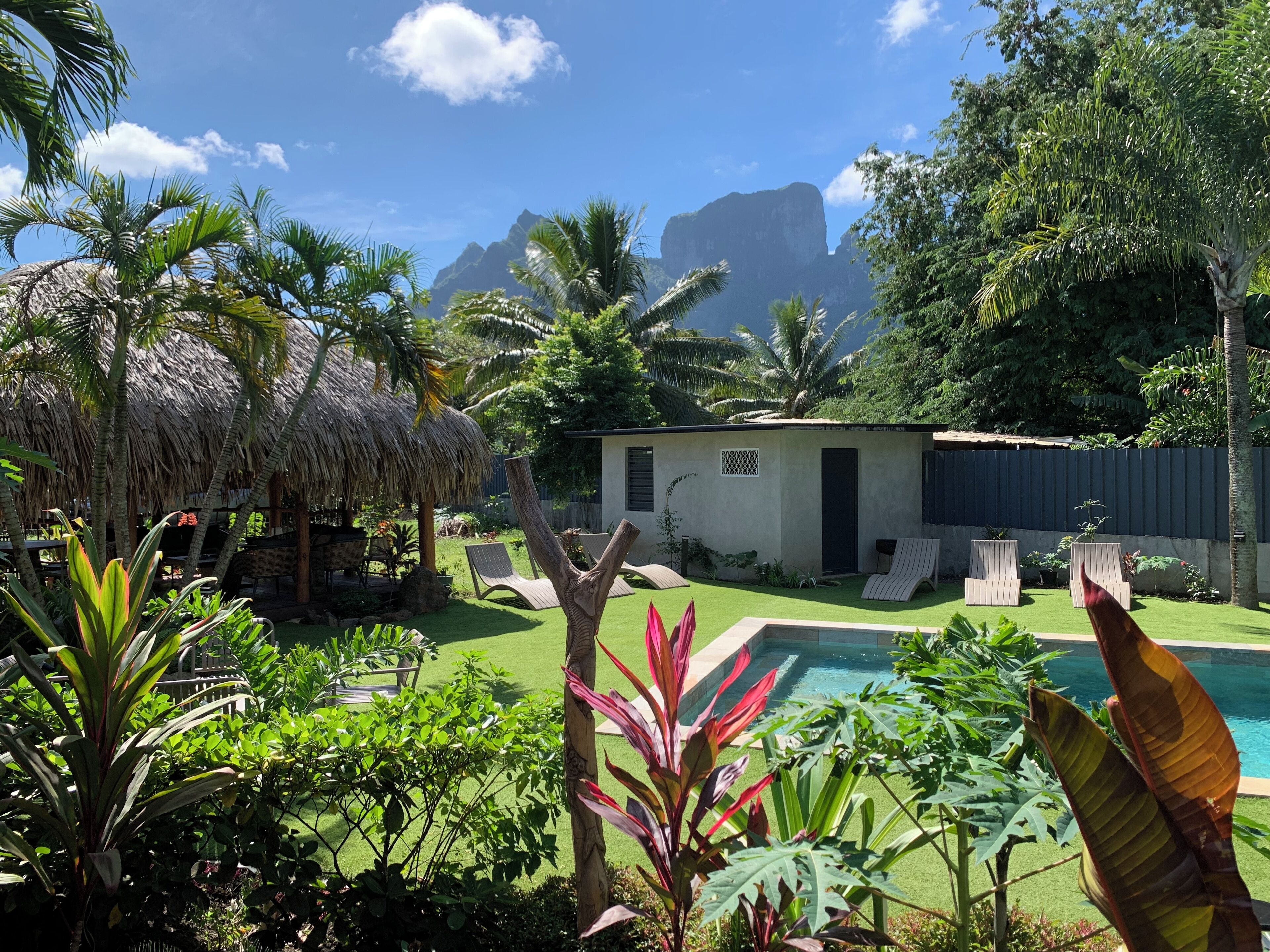 A pool area with lounge chairs, a small building, and lush greenery.