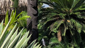 A tropical garden with a stone structure, palm trees, and a thatched roof. - Tiki Ora Lodge - HURA  (Bora Bora)