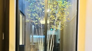 A glass door with a view of a corridor and a plant. - Tachibana (Osaka)