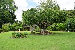 Área de parrillas y picnic