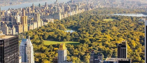 Un paisaje urbano con un parque grande en el centro, rodeado de edificios altos.