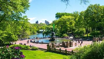 A park with a fountain, lush greenery, and a pond.