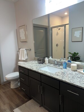 Shower, hair dryer, towels, soap - Cozy 2-bedroom apartment in amazing Atlanta with fitness room, WiFi (Atlanta)