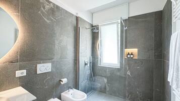 Shower, hair dryer, bidet, towels