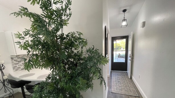 A hallway with a potted plant, a dining area with a table and chairs, a rug, and a door leading outside.