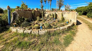 A garden with various cacti and succulents, a stone wall, and a dirt path. - [Casa dolce sole]  Holiday Home in Sciacca - Comfort and Relax Near the Sea! (SCIACCA)