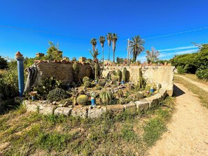 Overnattingsstedets uteområder