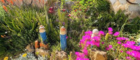 Jardines del alojamiento