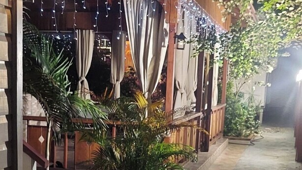 A covered outdoor area with string lights, potted plants, and a concrete pathway.