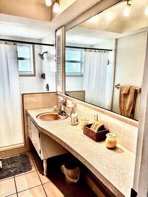 Shower, hair dryer, towels, soap